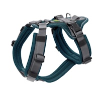 Hunter Geschirr Sicherheit Maldon petrol Hundegeschirr