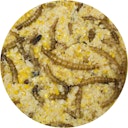 Vorschaubild JR FARM Peanut Pot Erdnussbutter 400g Wildvogelfutter zum Nachfüllen