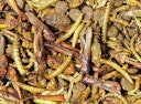 Vorschaubild JR FARM Igel-Snack 100g Wildtierfutter