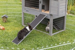 Rampe für Käfige/Ställe, 20 × 50 cm, grau