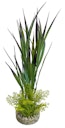 Vorschaubild Sydeco Amazon Grass 26 Zentimeter Aquariendekoration