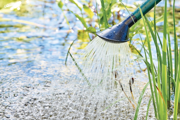 Oase AquaActiv PondClear