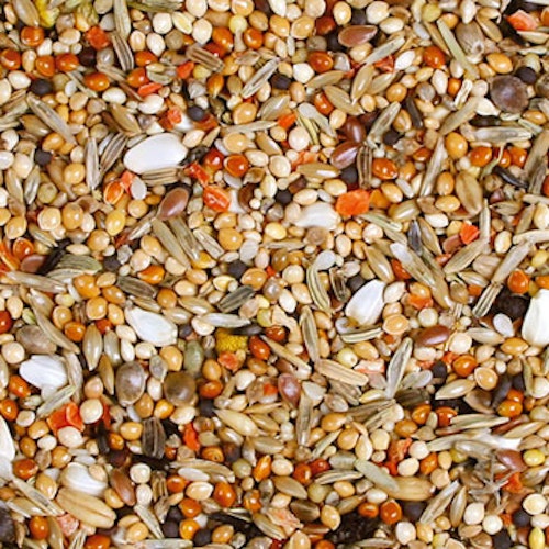 JR FARM Individual Sperlings- & Langflügelpapagei 1kg Vogelfutter