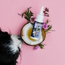 Vorschaubild Tierliebhaber Z-Spot