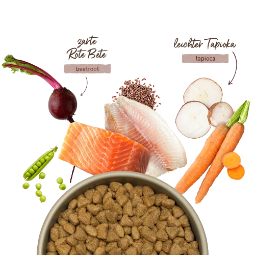 Bosch MENUE Adult Lachs und Forelle 1kg 