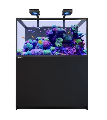 Red Sea REEFER™ S-550 G3 Deluxe - Schwarz (inklusive 2 X RL170S & Befestigungsarme)
