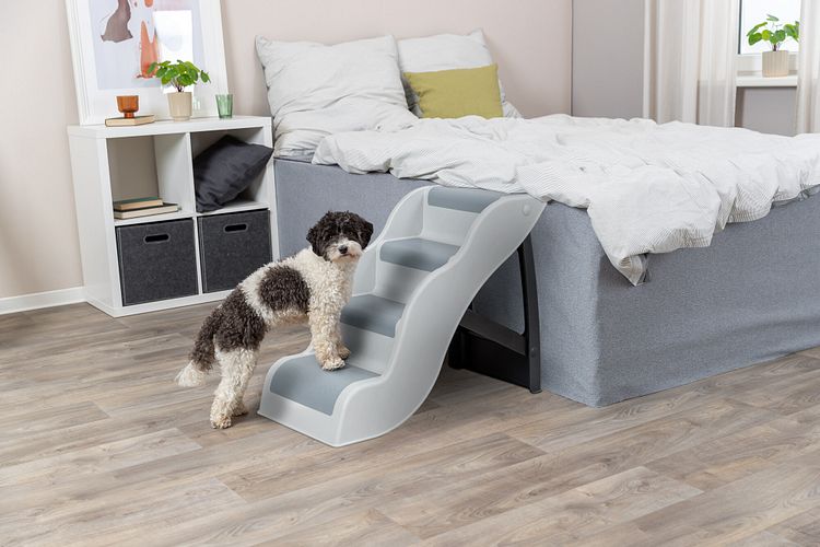 TRIXIE Treppe, Kunststoff, 38,5 × 60 × 79 cm, hellgrau
