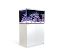 Vorschaubild Red Sea REEFER™ 250 System G2+