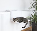 Vorschaubild TRIXIE Liegemulde für Heizkörper 45x31x24cm wollweiß