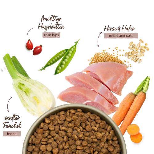 bosch tiernahrung 12kg Menue Pute mit Hafer Junior Hundetrockenfutter