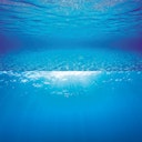 Vorschaubild JUWEL Poster XL 150x60 Zentimeter Aquariendekoration