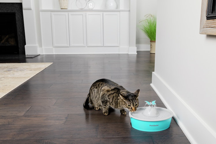 PetSafeTrinkbrunnen Butterfly Trinkbrunnen