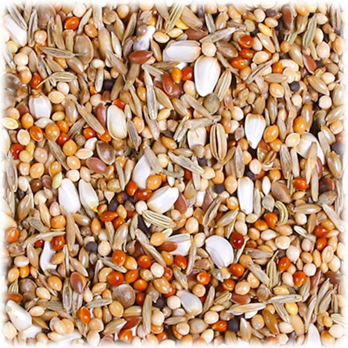 JR FARM Großsittich-Schmaus 1kg Vogelfutter