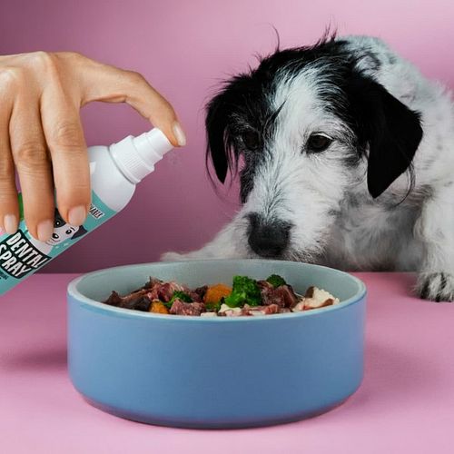 Tierliebhaber Dentalspray für Hunde