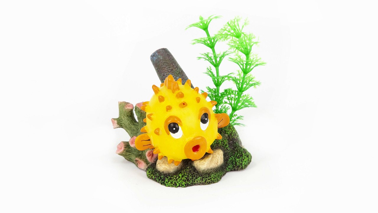 aquatlantis Ballonfisch