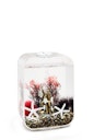 Vorschaubild biOrb Decor Set 15L Red Forest (48442)