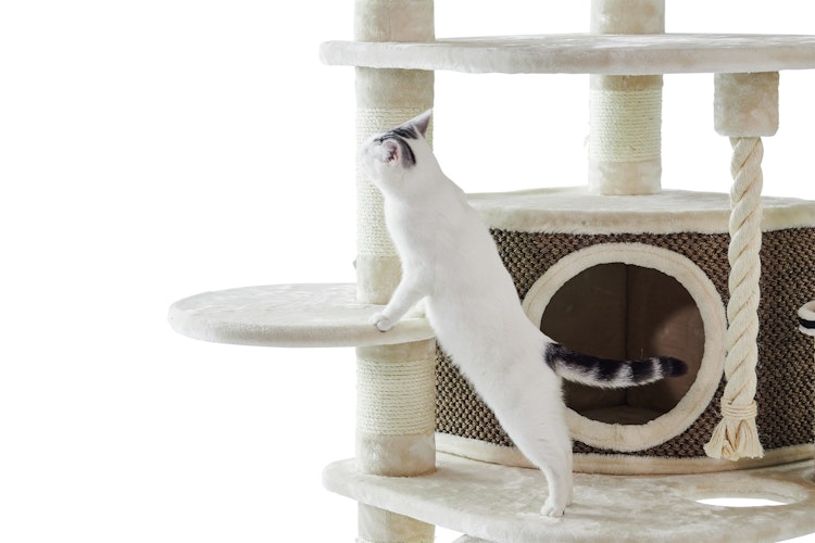 Nobby Kratzbaum Elif 70x70x189cm cream