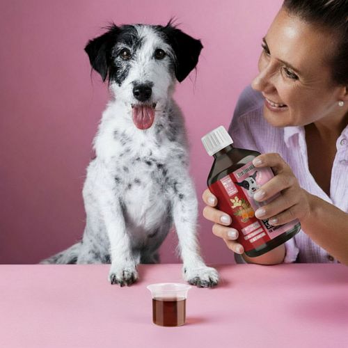Tierliebhaber Gelenk Saft