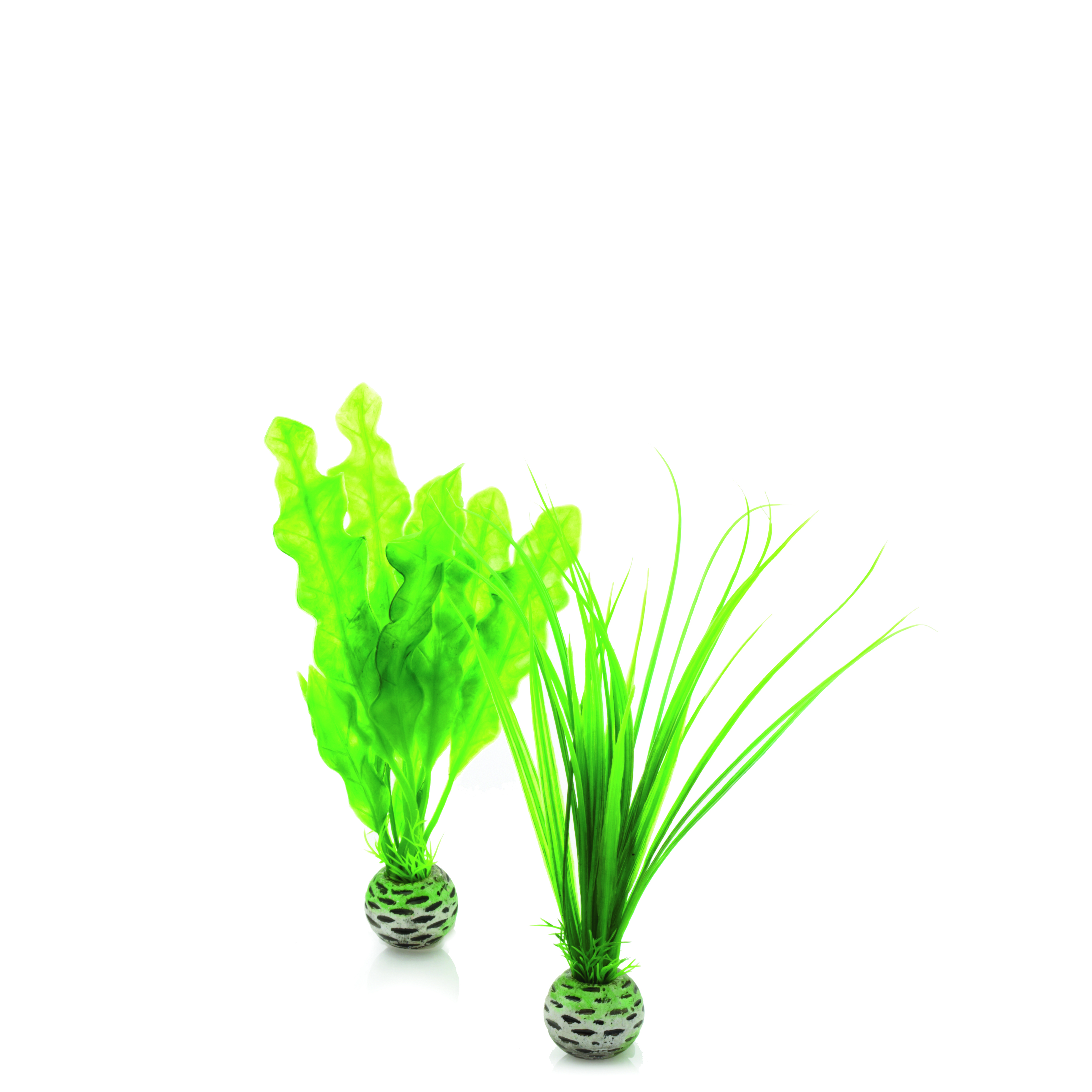 biOrb Pflanzen Set klein grün (46055)