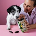 Vorschaubild Tierliebhaber Darmwohl Sticks