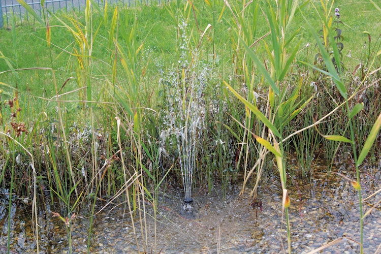 Pontec Solar- Wasserspielpumpe PondoSolar 600 Control