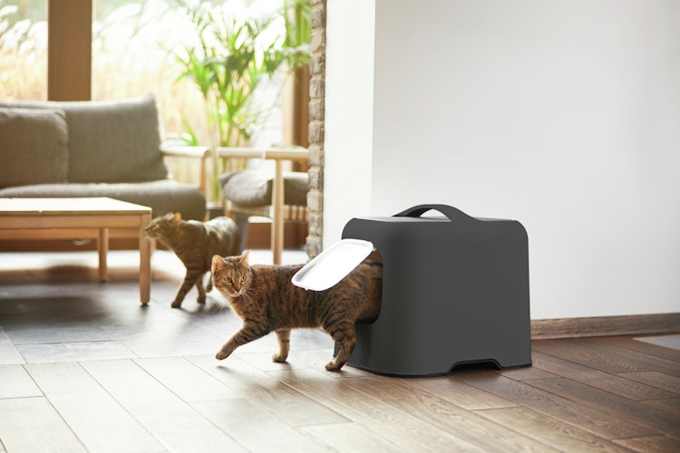 Rotho Biala Katzentoilette