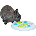 Vorschaubild TRIXIE Slide & Fun Board Kunststoff ø 23 cm