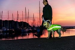 TRIXIE Sicherheitsweste, reflektierend, neongelb