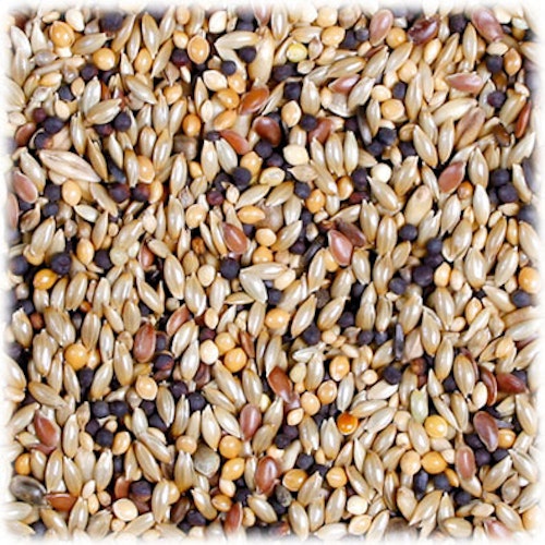 JR FARM Kanarien-Schmaus 1kg Vogelfutter