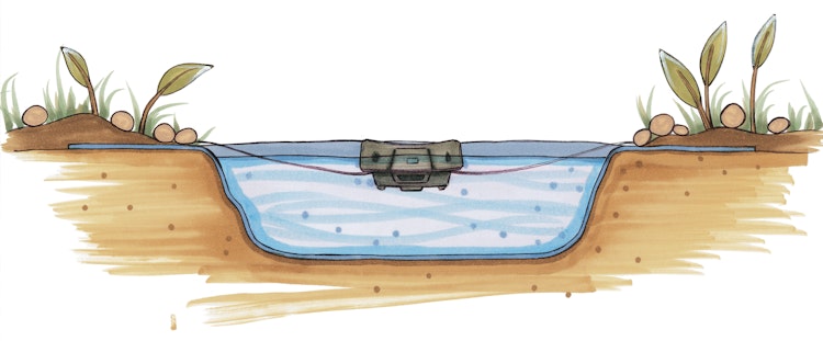 Oase Wasserspiel Water Starlet