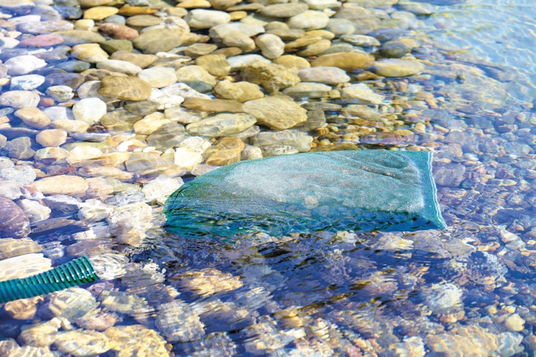 Oase Algenschutz AquaActiv AquaHumin