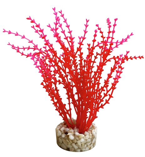 Sydeco Aqua Nano Moss 8 Zentimeter Aquariendekoration