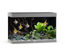 Vorschaubild JUWEL Rio 290 LED grau Aquarium