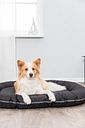 Vorschaubild TRIXIE Kissen Samoa Vital, oval, 110 × 85 cm, schwarz