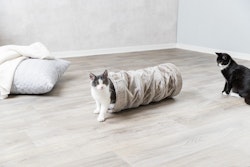 TRIXIE Spieltunnel Plüsch Ø 22x60cm