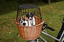Vorschaubild TRIXIE Front-Fahrradkorb, 44 × 48 × 33 cm, natur