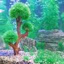 Vorschaubild HOBBY Plant Aqua Tree 3 Aquarieneinrichtung