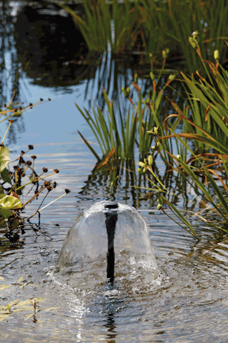 Oase Filtral UVC 5000