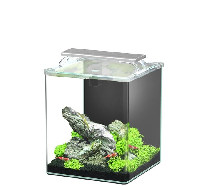 Aquatlantis Kubus Curve 20L LED - Essential