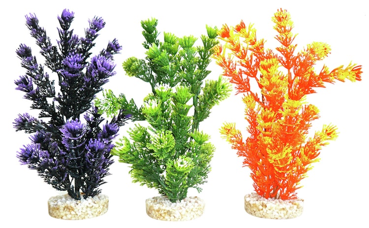 Sydeco Fiesta Aquaplant 24 Zentimeter Aquariendekoration