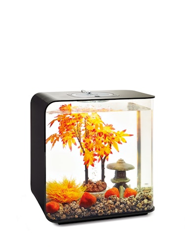 biOrb Decor Set 30L Herbst (55027)