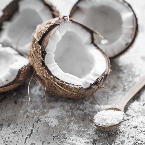 Paws&Patch KOKOSFLOCKEN 400g