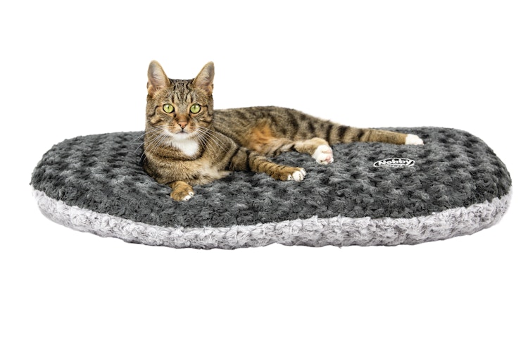 NOBBY Kissen oval SEOLI