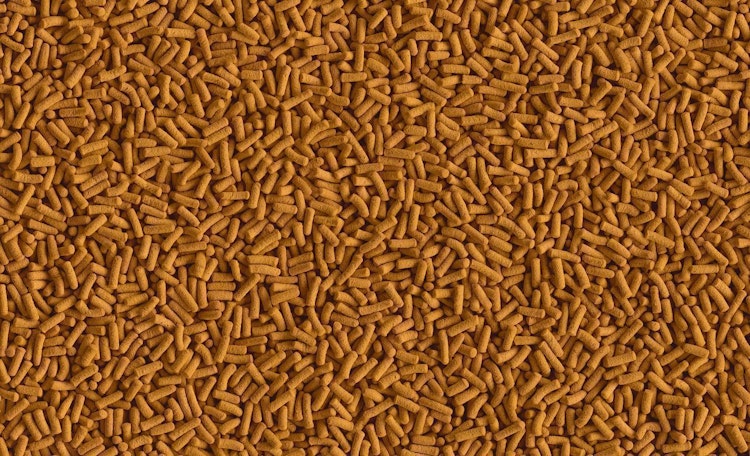 Tetra Cichlid Sticks