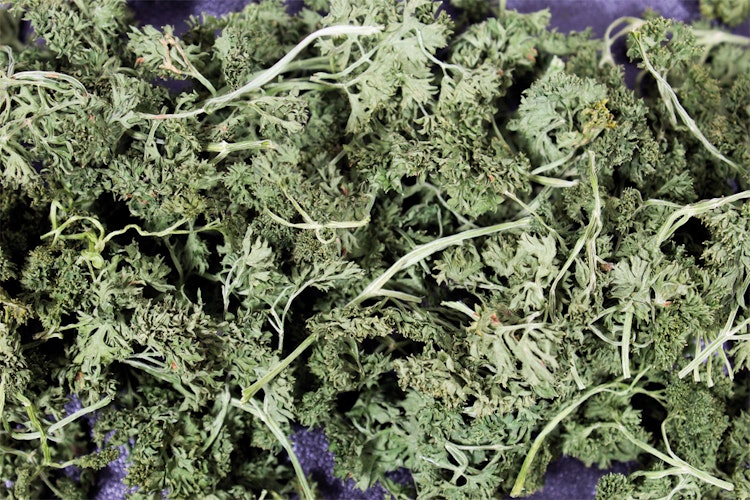 JR FARM Petersilien-Salat 50g Nahrungsergänzung für Kleintiere