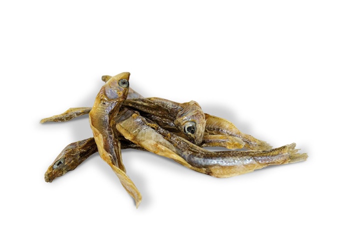 JR FARM Nature-Ball 15g Katzenspielzeug