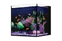 Vorschaubild Red Sea Desktop Aquarium Set