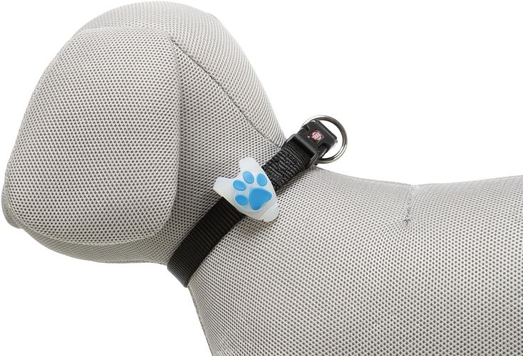 TRIXIE Flasher für Hunde weiß Ø2 4cm/8cm