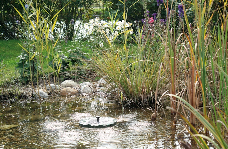 Pontec Solar-Fontäne PondoSolar Lily Island