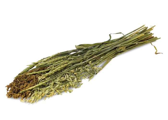 JR FARM Ein Stück Natur Sommer-Ernte 80g Kleintierfutter